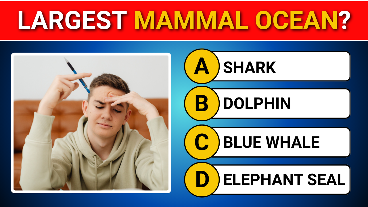 Fun Quiz for Grade 6 – 30 Easy GK Questions with Answers